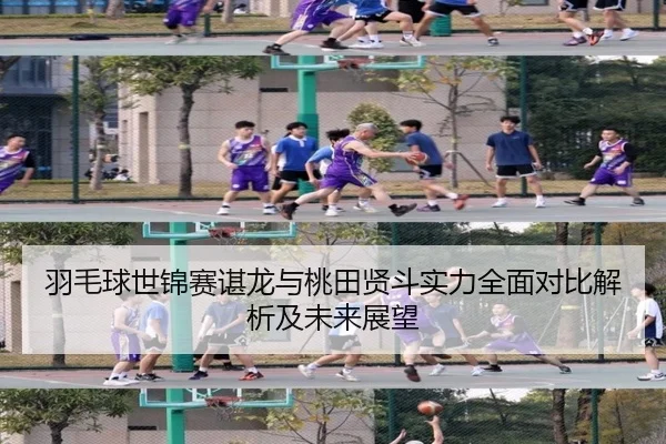 羽毛球世锦赛谌龙与桃田贤斗实力全面对比解析及未来展望